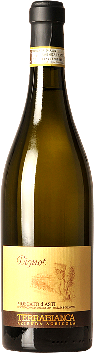 Vignot, Moscato d´Asti, Piemonte, Italien